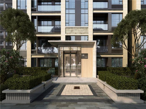 年轻的鸡即鲍汁焖鸡