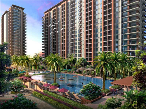 乔东家排骨大包