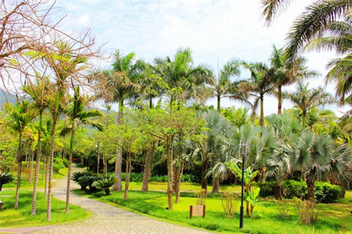 刘一锅铁锅焖面