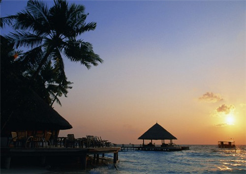 什么品牌的奶茶连锁店适合新手加盟，季忆奶茶一年盈利多少