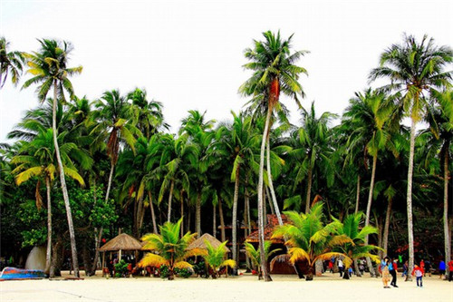 垻提原味饮品品牌实力是否雄厚，加盟垻提原味饮品如何选址