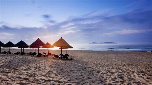 蚂蚁的十大刑法是什么（蚂蚁几种）