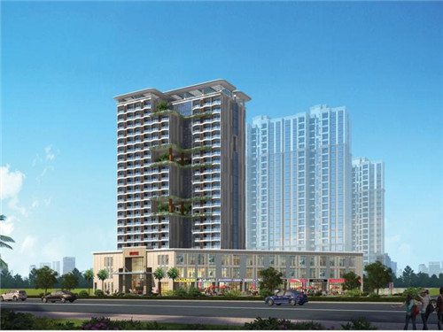 蚝油素茭瓜怎么炒比较好（油闷茭瓜）