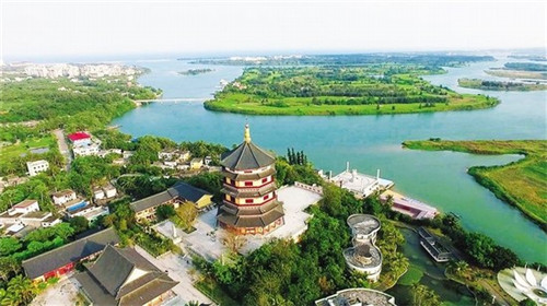 养鹅的十大骗局是什么（养鹅骗局如何要回钱）