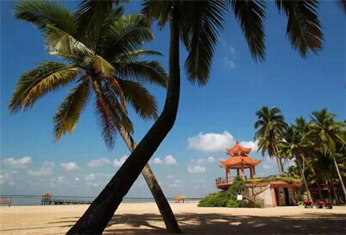 那些绝美的烟花是什么歌（最美的烟花叫什么名字）