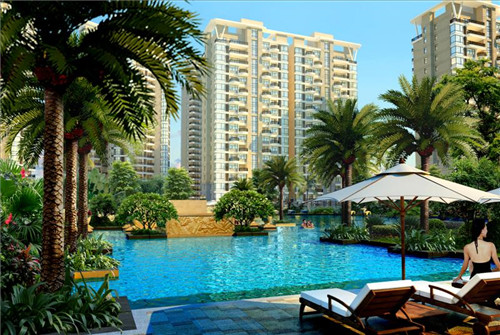 重庆口味炒芹菜怎么炒（重庆口味炒芹菜怎么炒好吃）