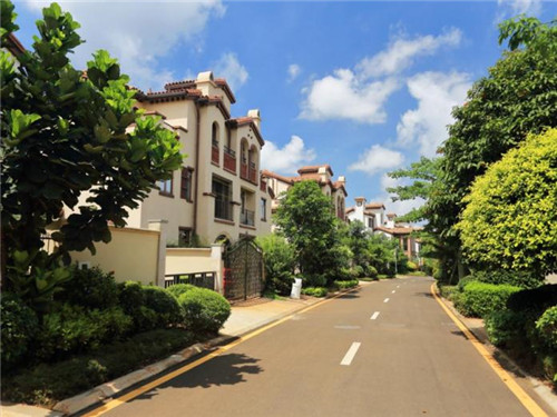 猪脚炒肉怎么炒最好吃（炒猪脚肉的做法）